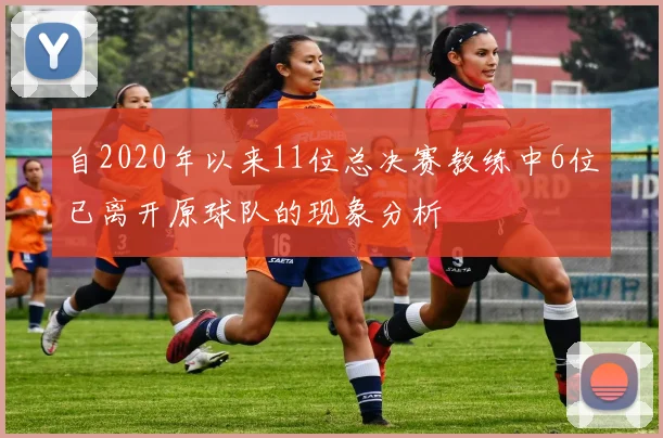 自2020年以来11位总决赛教练中6位已离开原球队的现象分析